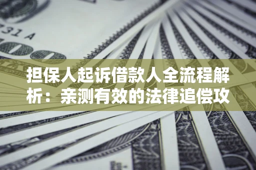 济南担保人起诉借款人全流程解析：亲测有效的法律追偿攻略