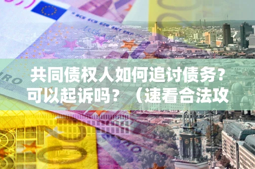 济南共同债权人如何追讨债务？可以起诉吗？（速看合法攻略）